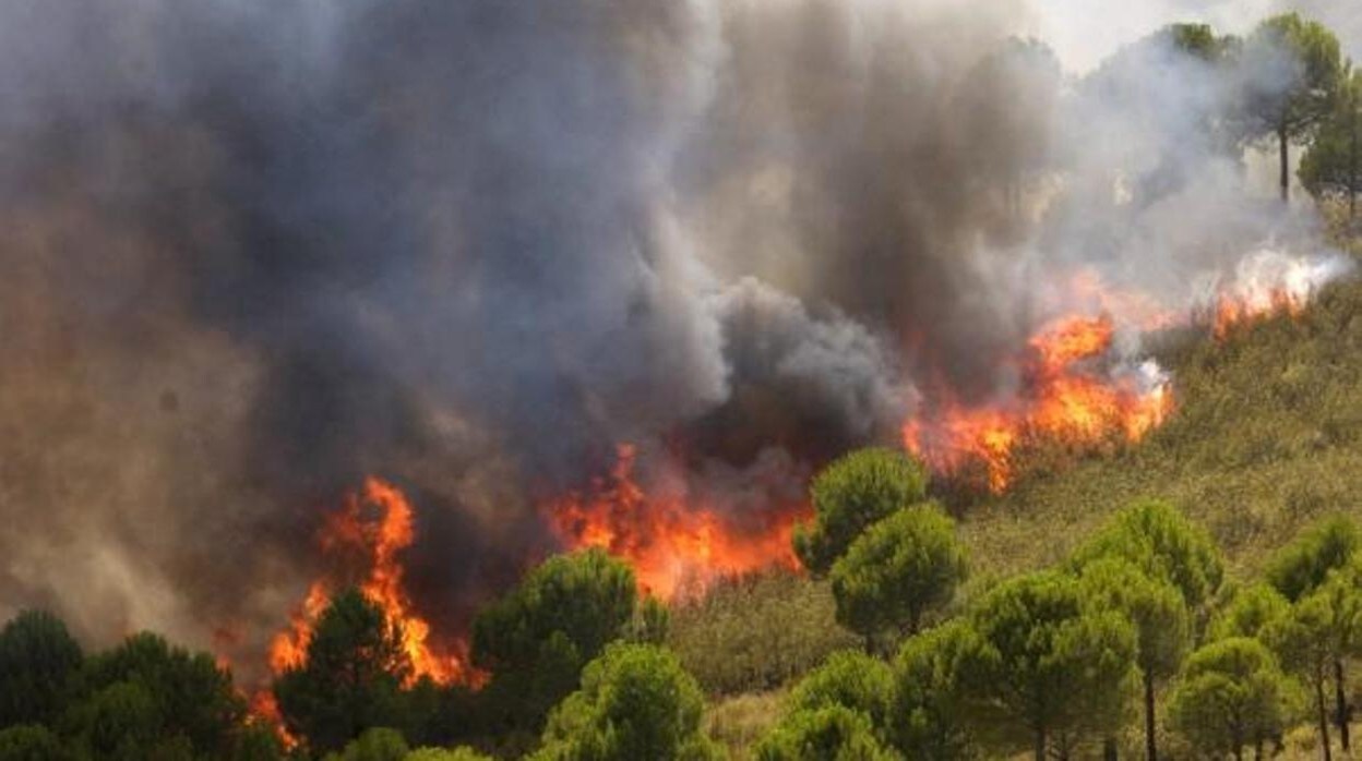 Imagen de archivo de un incendio forestal en la provincia de Sevilla