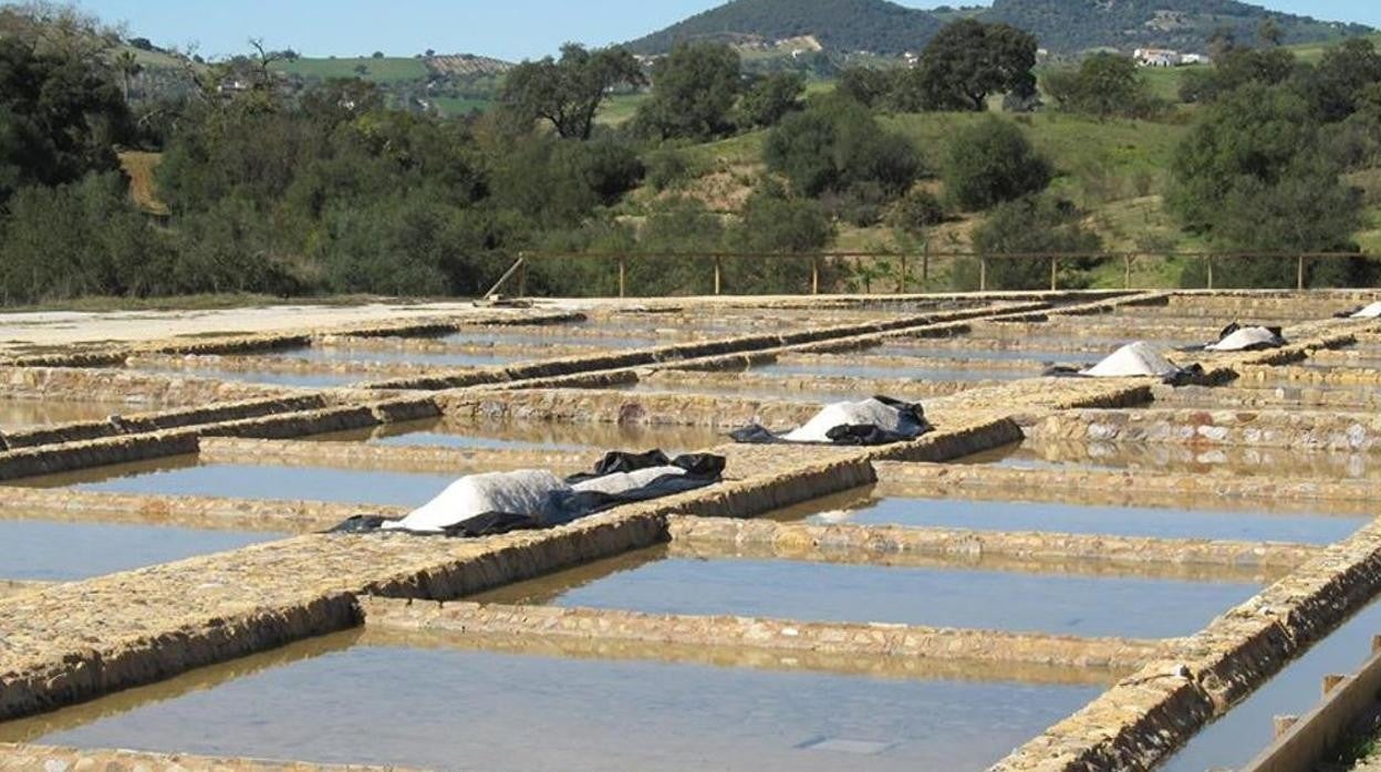 Salinas Romanas de Iptuci, unas desconocidas enclavadas en el corazón del Parque Natural de Los Alcornocales, en Cádiz