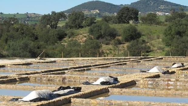 Salinas Romanas de Iptuci, unas desconocidas enclavadas en el corazón del Parque Natural de Los Alcornocales, en Cádiz