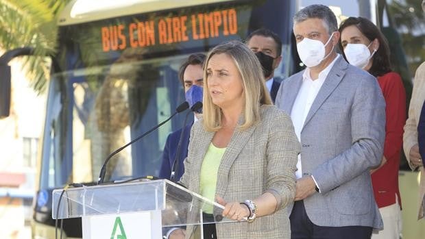 Los 150 autobuses metropolitanos de Sevilla contarán con un sistema de purificación del aire anti Covid