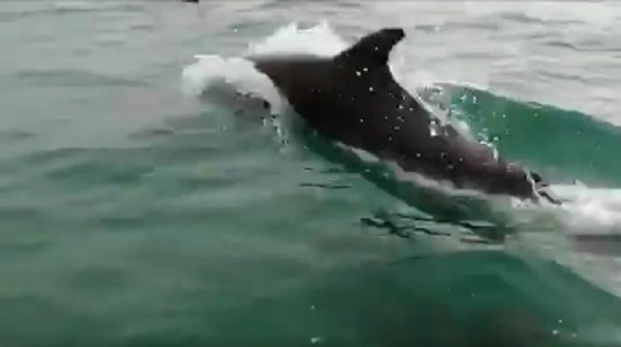 Un momento del vídeo de La Laja Surf Club