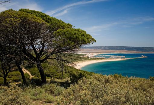 Parque Natural de la Breña y Marismas de Barbate.