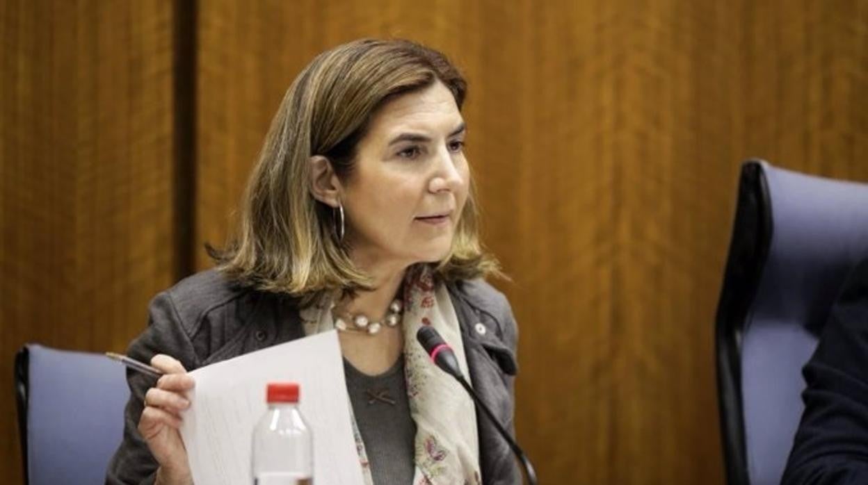 La consejera de Empleo, Rocío Blanco, en comisión parlamentaria.