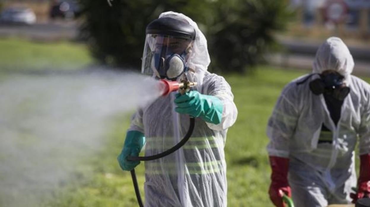 Tarea de fumigación en una zona verde de Coria del Río, en agosto de 2020