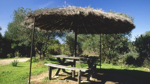 Embalse de Benalup