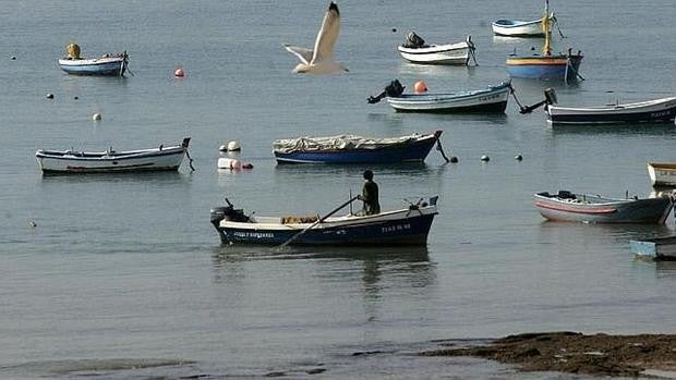 Cádiz aprueba crear una escultura para el pescador caletero