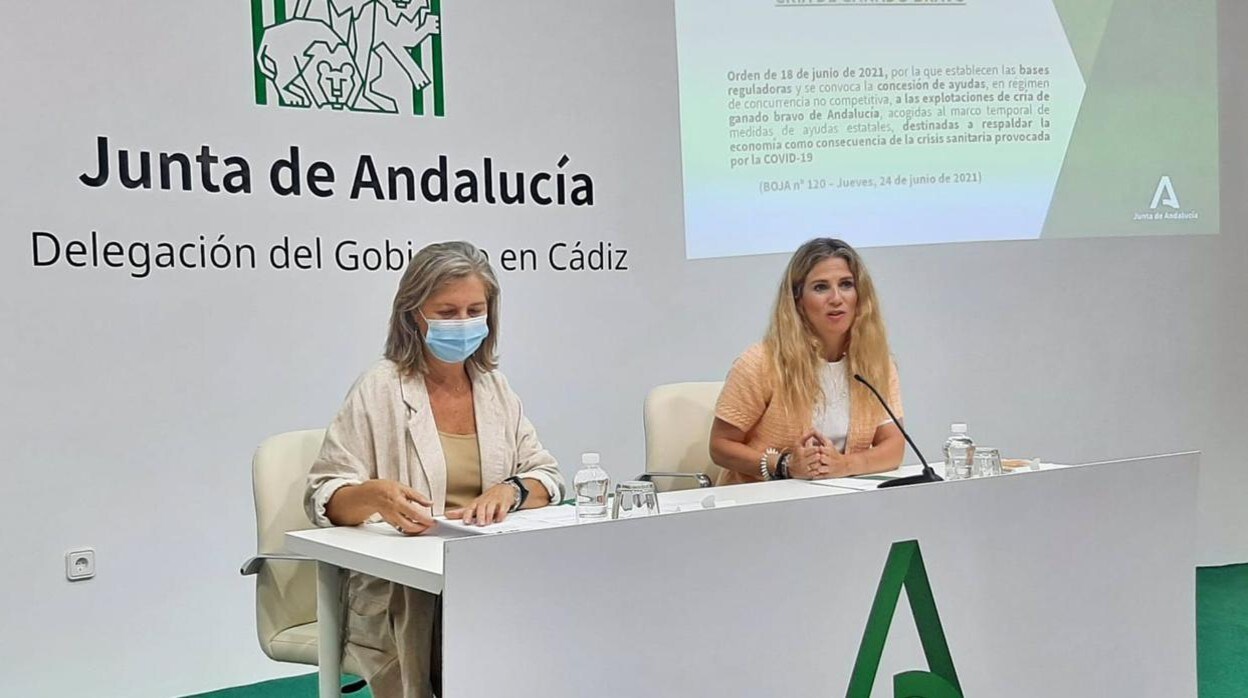 Mestre valora ante los criadores de ganado de lidia las ayudas a un sector relevante para Cádiz