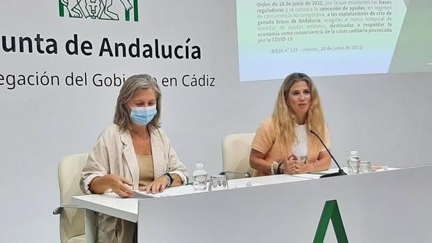 Mestre valora ante los criadores de ganado de lidia las ayudas a un sector relevante para Cádiz