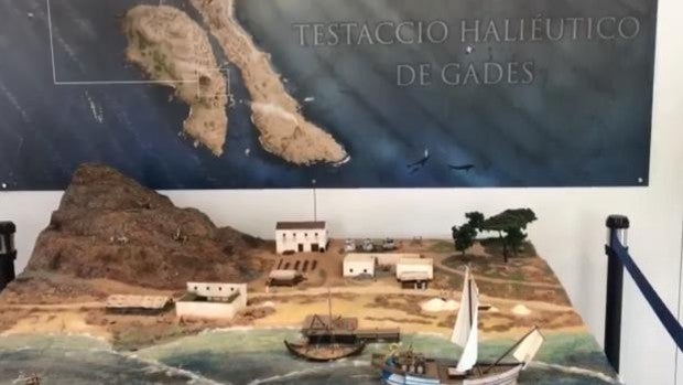 La cripta arqueológica del El Olivillo y la gran montaña de residuos del canal Bahía-Caleta