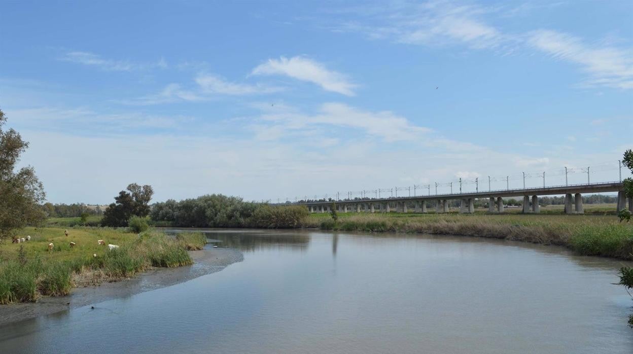 La Junta aprueba provisionalmente el Plan Especial Supramunicipal del río Guadalete en Jerez y El Puerto