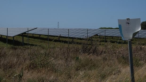 La inversión foránea en placas solares seduce a los agricultores gaditanos