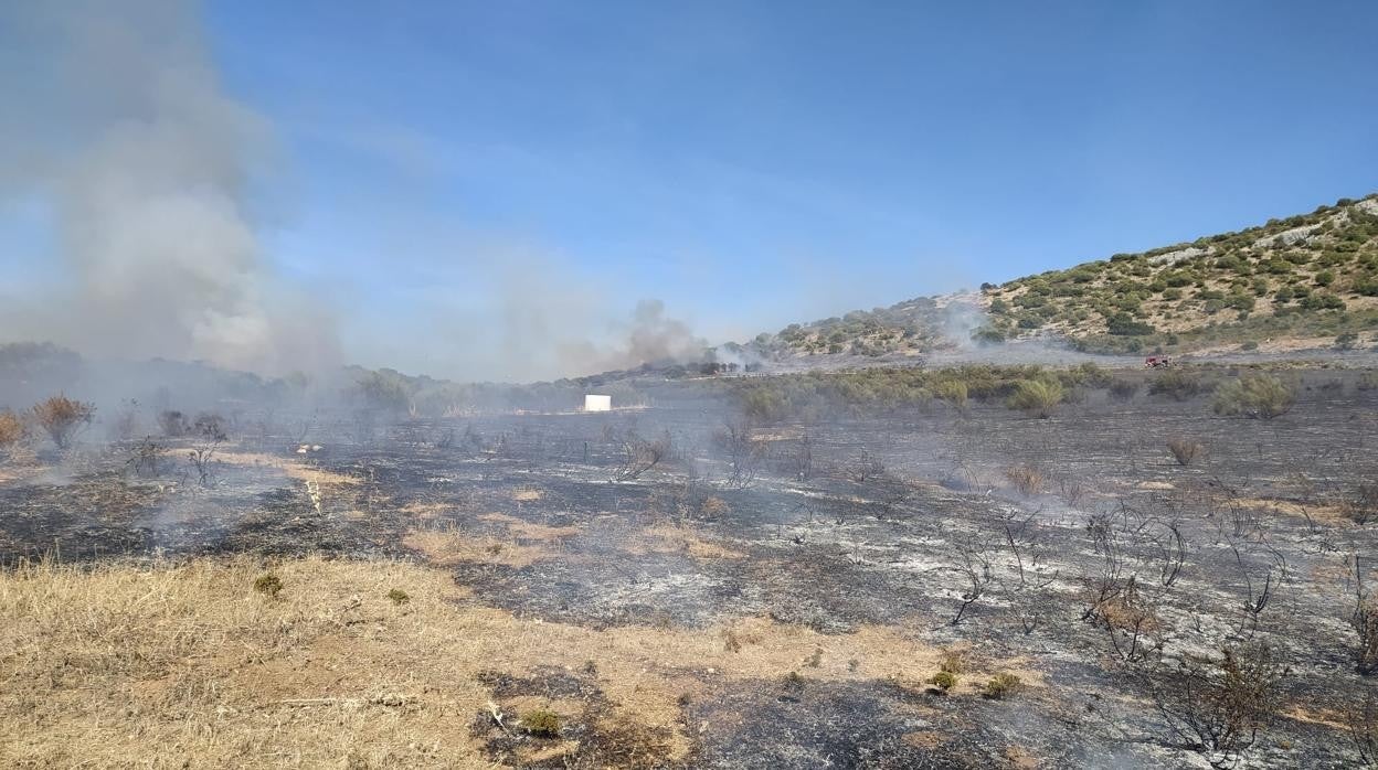 La zona afectada por el incendio poco después de su extinción