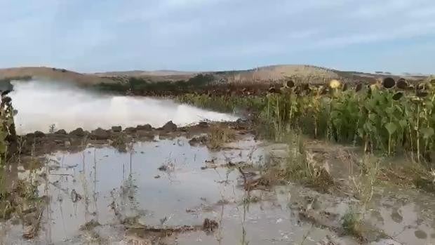 Vídeo: Una tubería rota obliga a cortar el agua a los vecinos de Paterna de Rivera