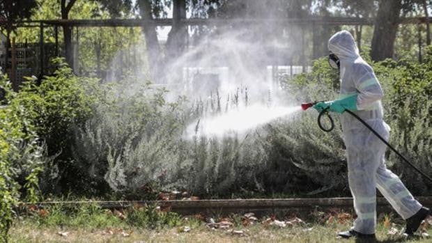 La Junta pide ampliar la fumigación contra el mosquito a 1,5 kms de los núcleos urbanos de Coria y La Puebla