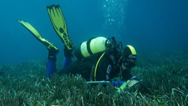 Restos arqueológicos en aguas de Camposoto en San Fernando entre los yacimientos catalogados en Andalucía