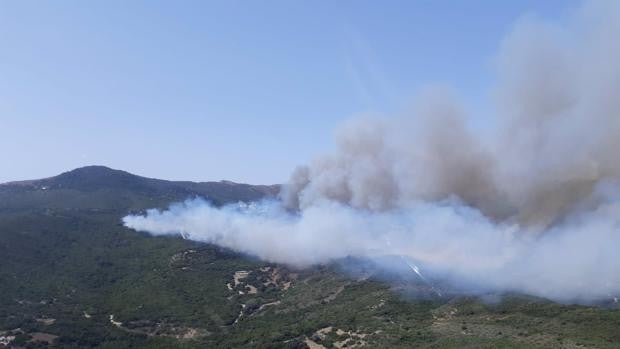 Un incendio en Tarifa obliga a desalojar a casi un centenar de personas de viviendas y cortijos