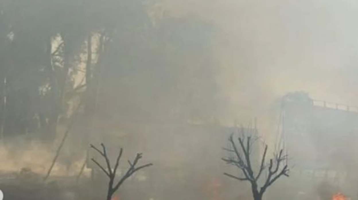 Cinco incendios se suman al de Tarifa en distintos puntos de Algeciras durante la jornada del lunes