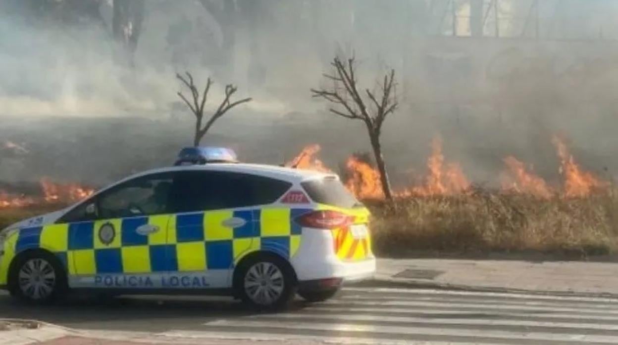 El alcalde de Algeciras pide ayuda ciudadana para esclarecer cinco incendios ocurridos en la ciudad