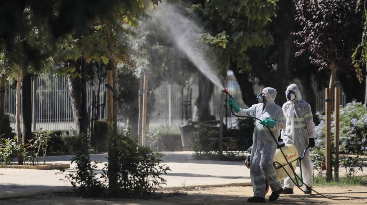 Tareas de fumigación en Coria del Río