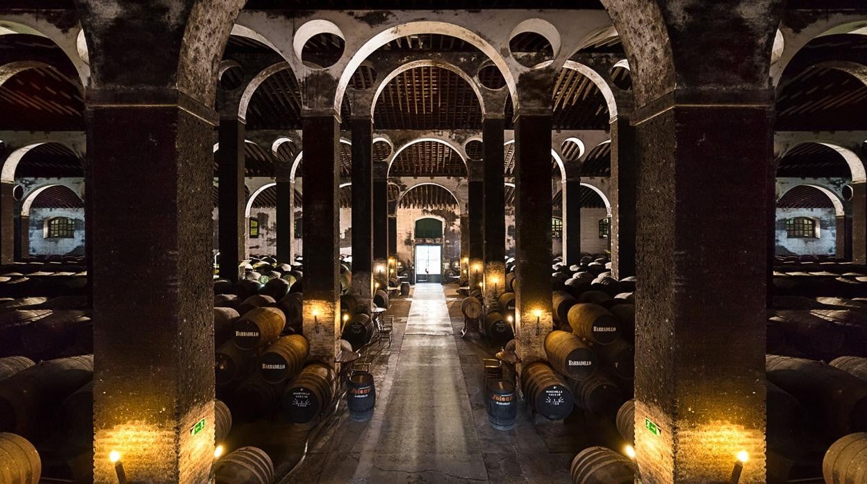 Bodega Catedral Arboledilla de Barbadillo en Sanlúcar