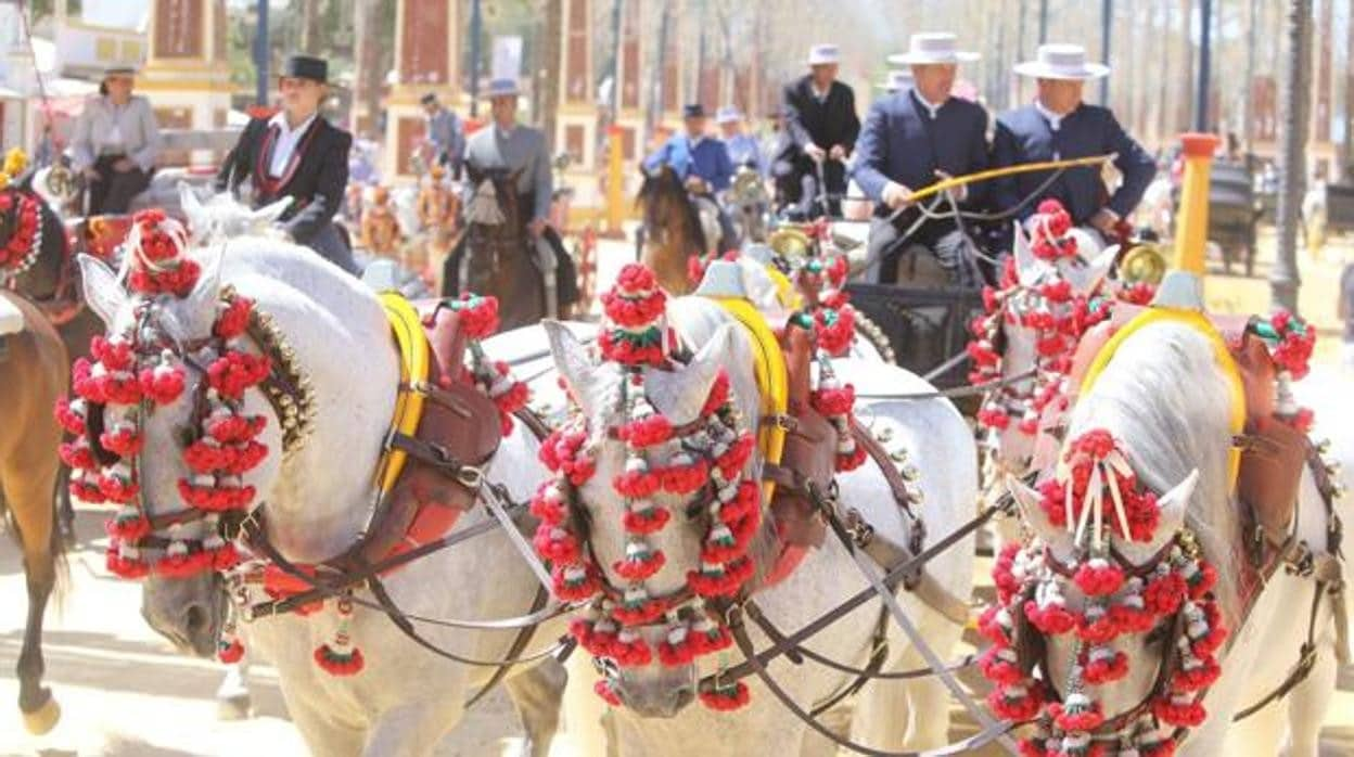 La Feria Del Caballo De Jerez 2022 Ya Tiene Fecha 0396