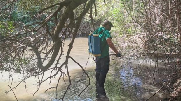 Fumigación para prevenir el virus del Nilo en el Río Pícaro