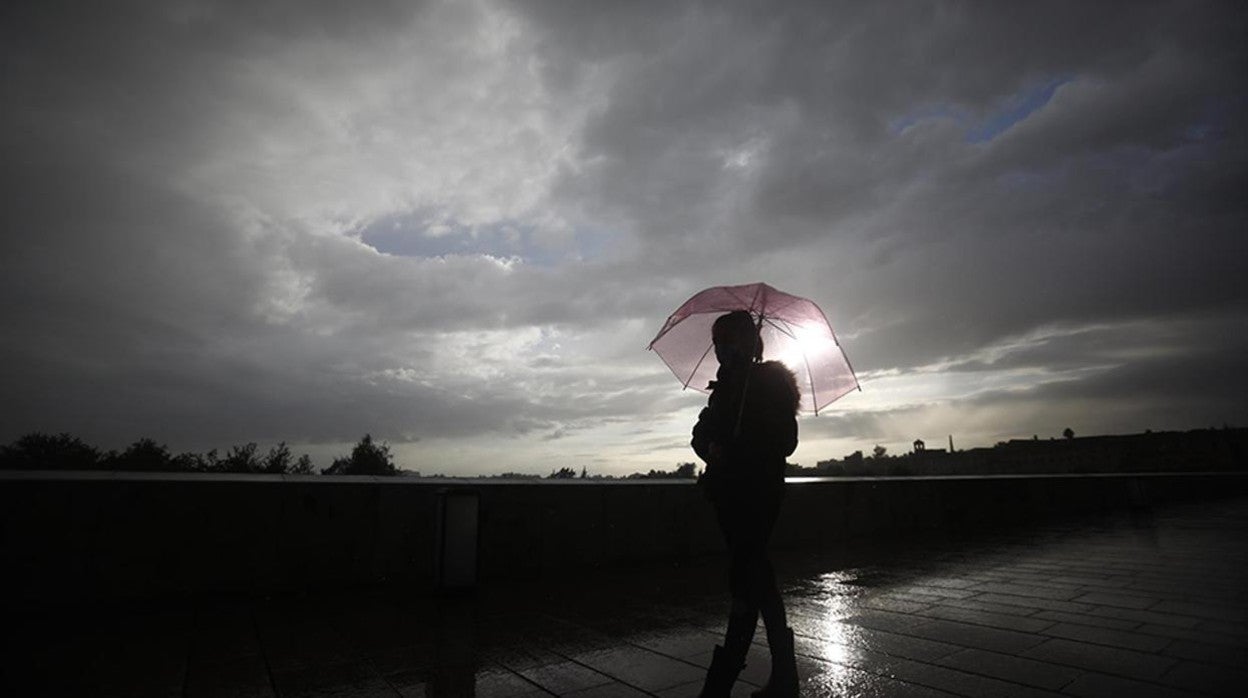 La lluvia causa una decena de incidencias en Jerez