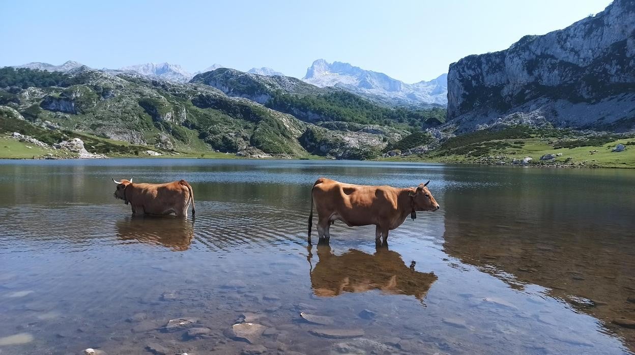 Estos son los 10 pueblos más visitados de este verano para hacer turismo rural (y uno está en Cádiz)