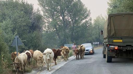 Estos son los 10 pueblos más visitados de este verano para hacer turismo rural (y uno está en Cádiz)