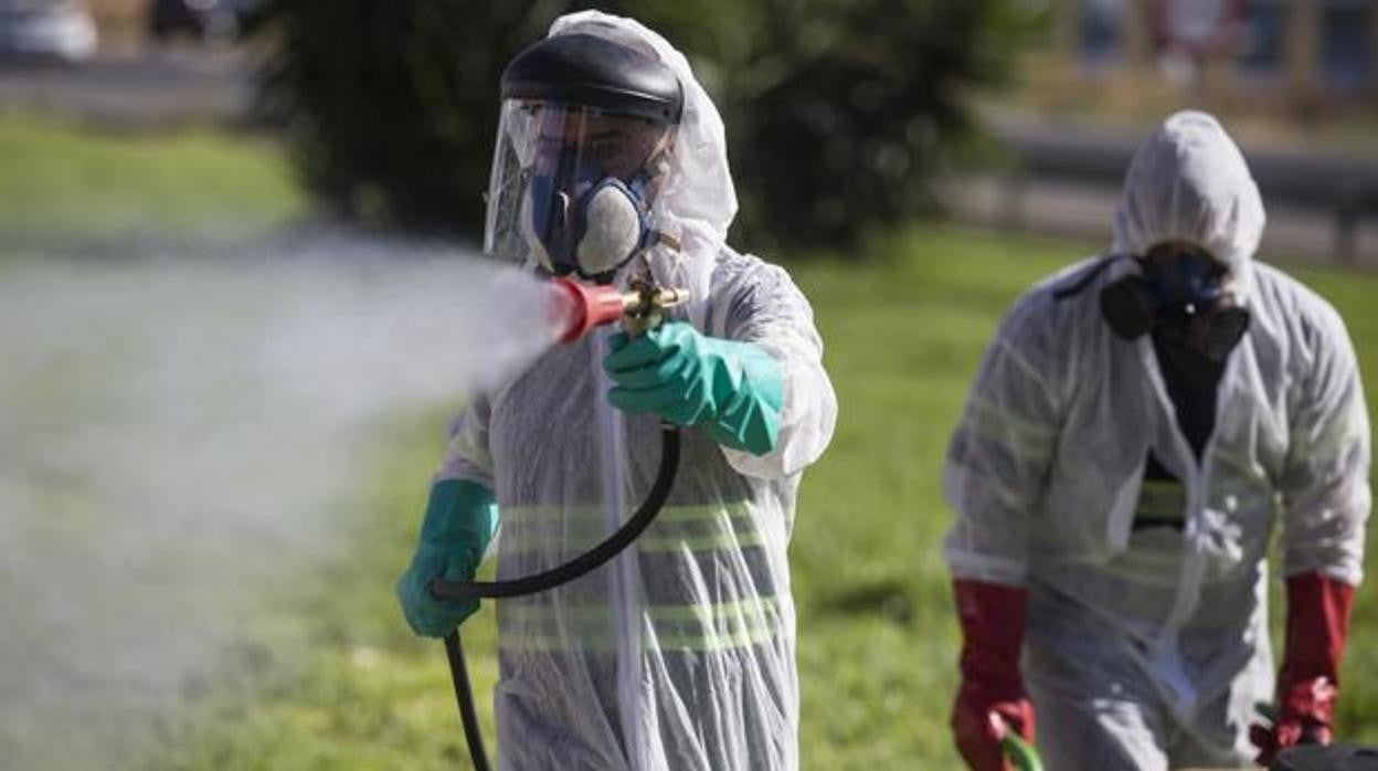 Dos operarios fumigan contra el mosquito