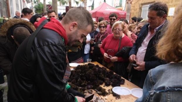 El adelanto de la semana del Carnaval de Cádiz 2022 abre las puertas a las peñas