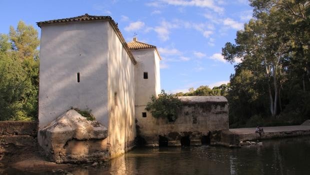 Alcalá de Guadaíra celebra un mes en torno al Día del Pan