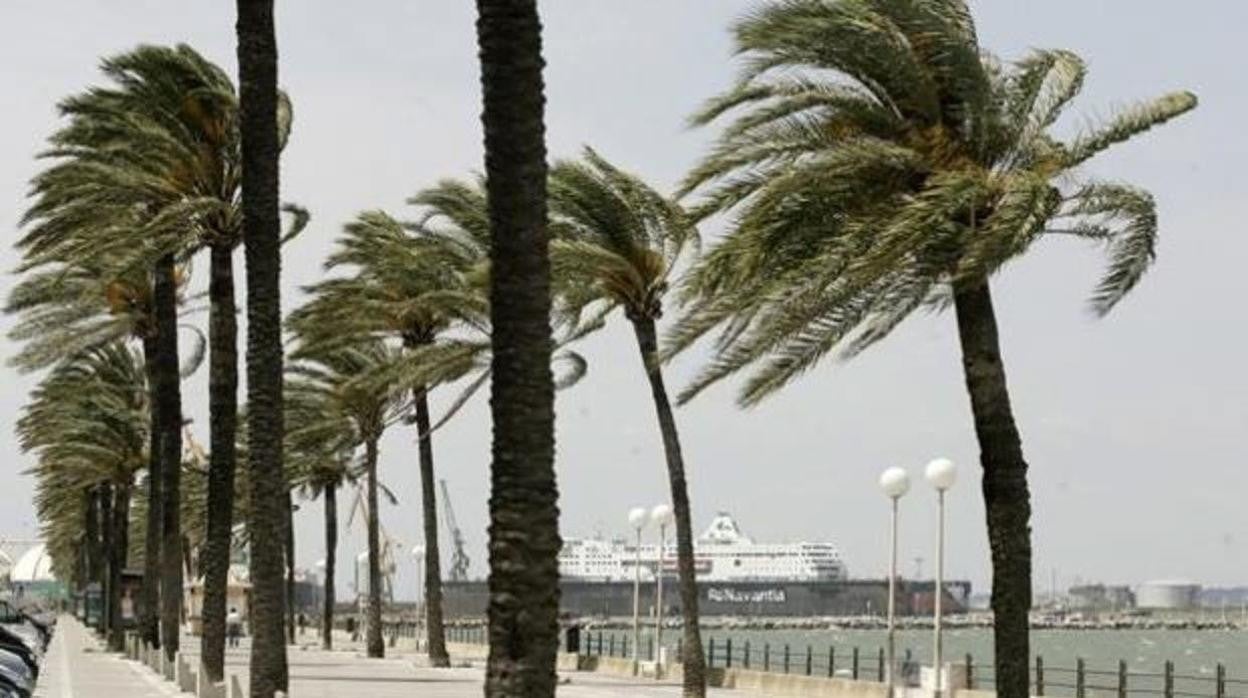 Aviso amarillo por levante en Cádiz