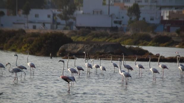 La imparable subida del nivel del mar