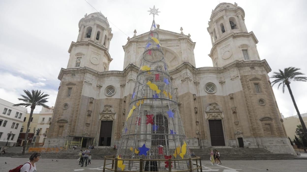 El árbol en la plaza de la Catedral.