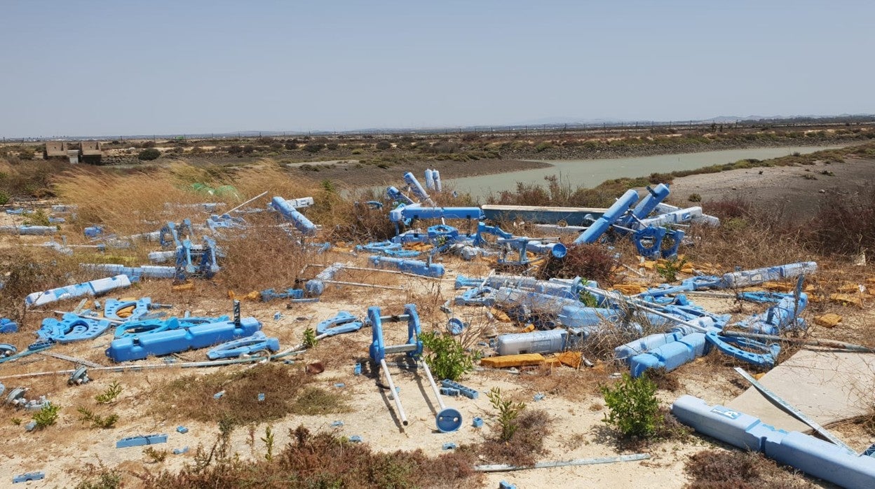 El 80% de los esteros de la Bahía de Cádiz se encuentran en desuso