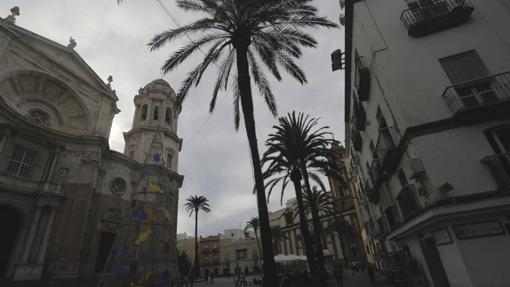 Plaza de la Catedral