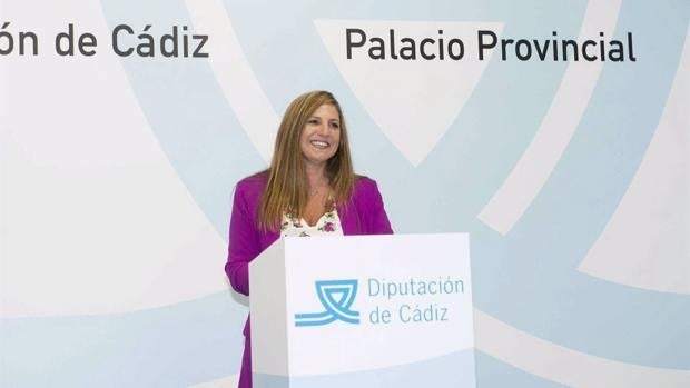 El PSOE cree que «la cruda realidad sobrepasa al presupuesto triunfalista de la Junta para Cádiz»