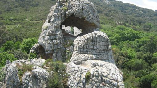 La Montera del Torero, una ruta del parque natural de Los Alcornocales rica en diversos hongos silvestres