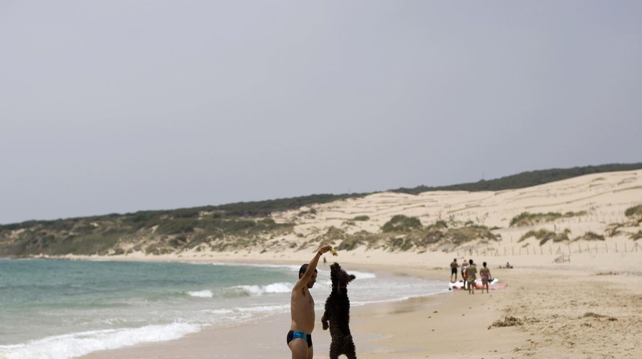 Más de 1,5 millones de euros para mejoras en las playas gaditanas