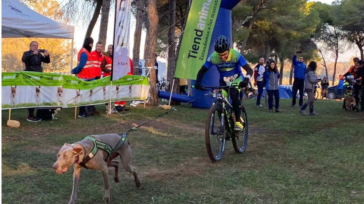 Un participante en bicicleta es arrastrado por un perro en una edición pasada