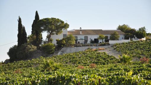 La casa, dentro de la viña.