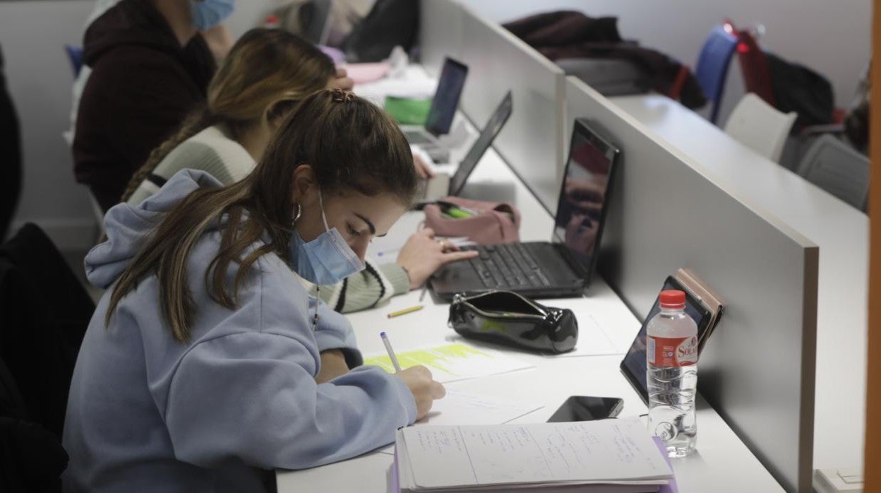 «Los alumnos brillantes han dejado de vivir para sacar buenas notas»