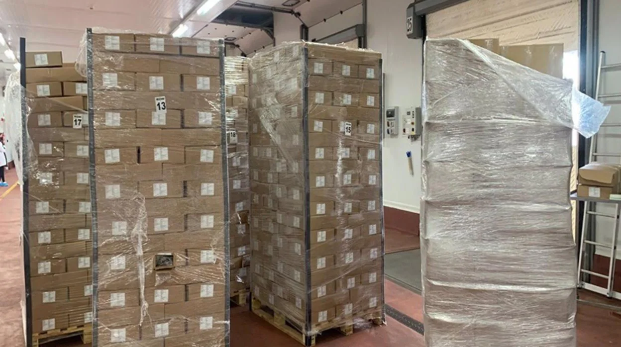Interceptan más de 2.000 kilos de cocaína en Algeciras en un contenedor que declaraba merluza congelada