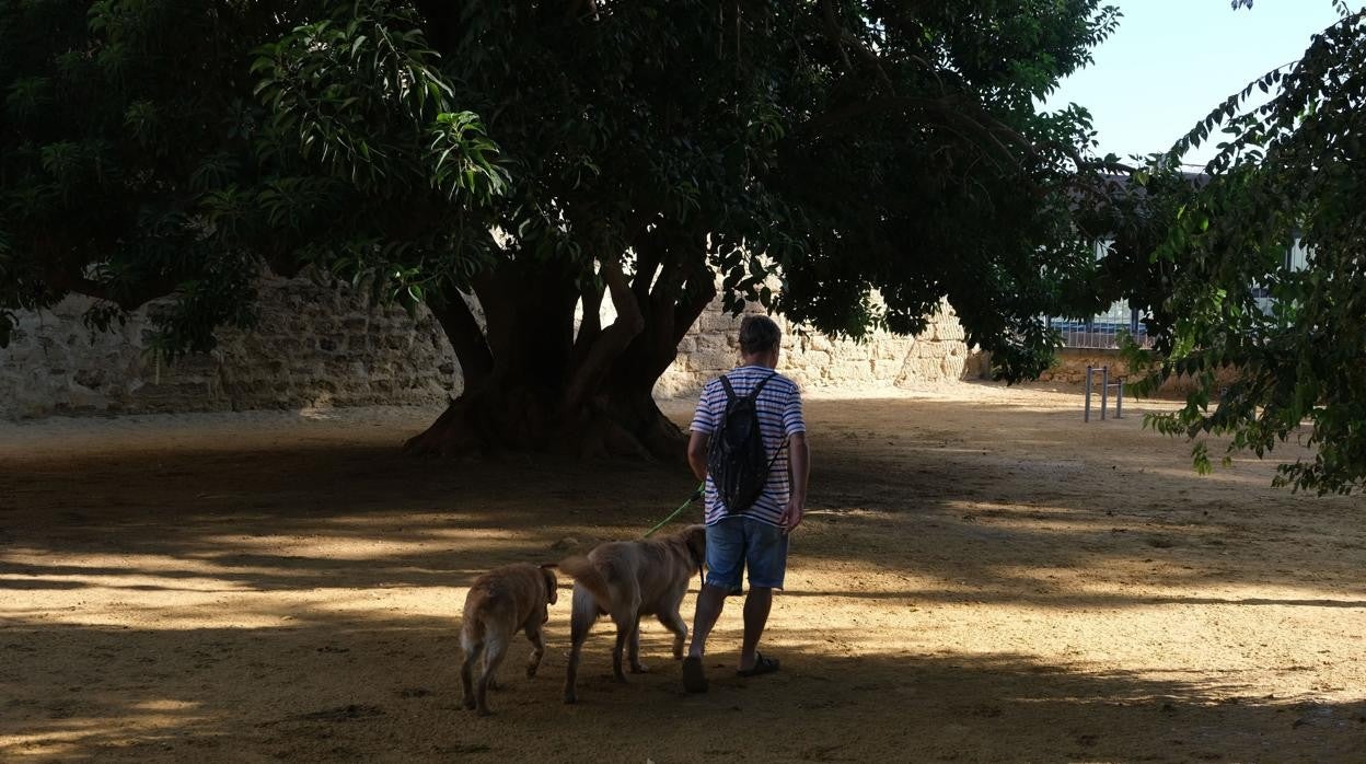 Piden la desinfección de los parques caninos de Cádiz