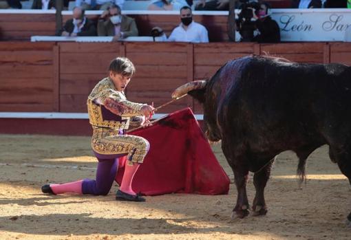 El número de corridas de toros en la provincia de Cádiz creció en 2021 respecto a la época pre-covid