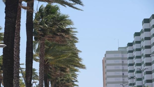 Alerta amarilla en la costa gaditana por el fuerte viento de levante