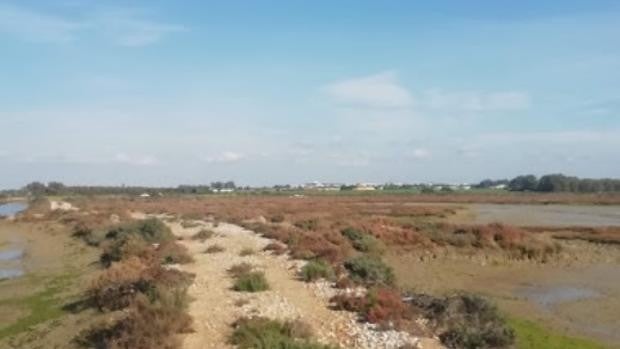 La Guardia Civil localiza en las marismas de Sancti Petri de Chiclana a una persona desaparecida