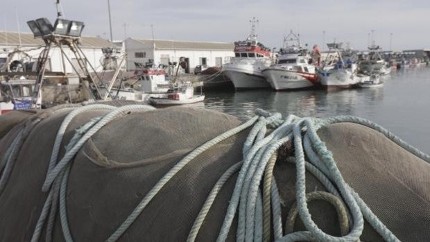 Paro indefinido de la flota de cerco de Barbate por la subida del precio del combustible