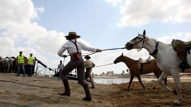 Teléfonos satélites, drones, GPS y sistema AML como novedades para el Rocío 2022